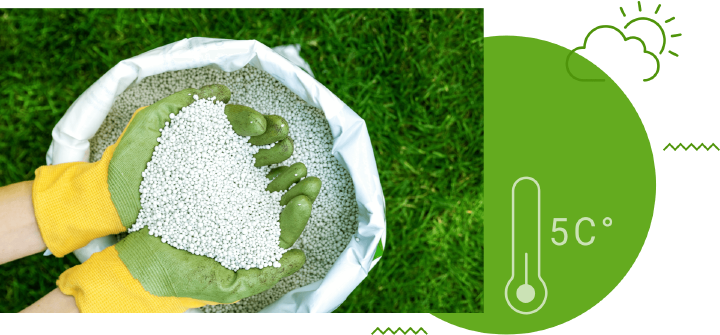 bildkombination rasenpflege rasenduenger fruehjahr